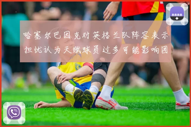 哈塞尔巴因克对英格兰队阵容表示担忧认为天赋球员过多可能影响团队合作