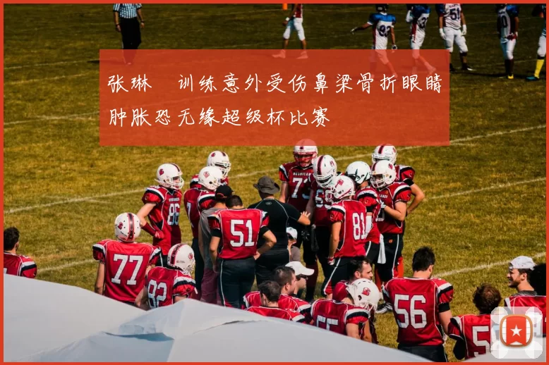 张琳芃训练意外受伤鼻梁骨折眼睛肿胀恐无缘超级杯比赛